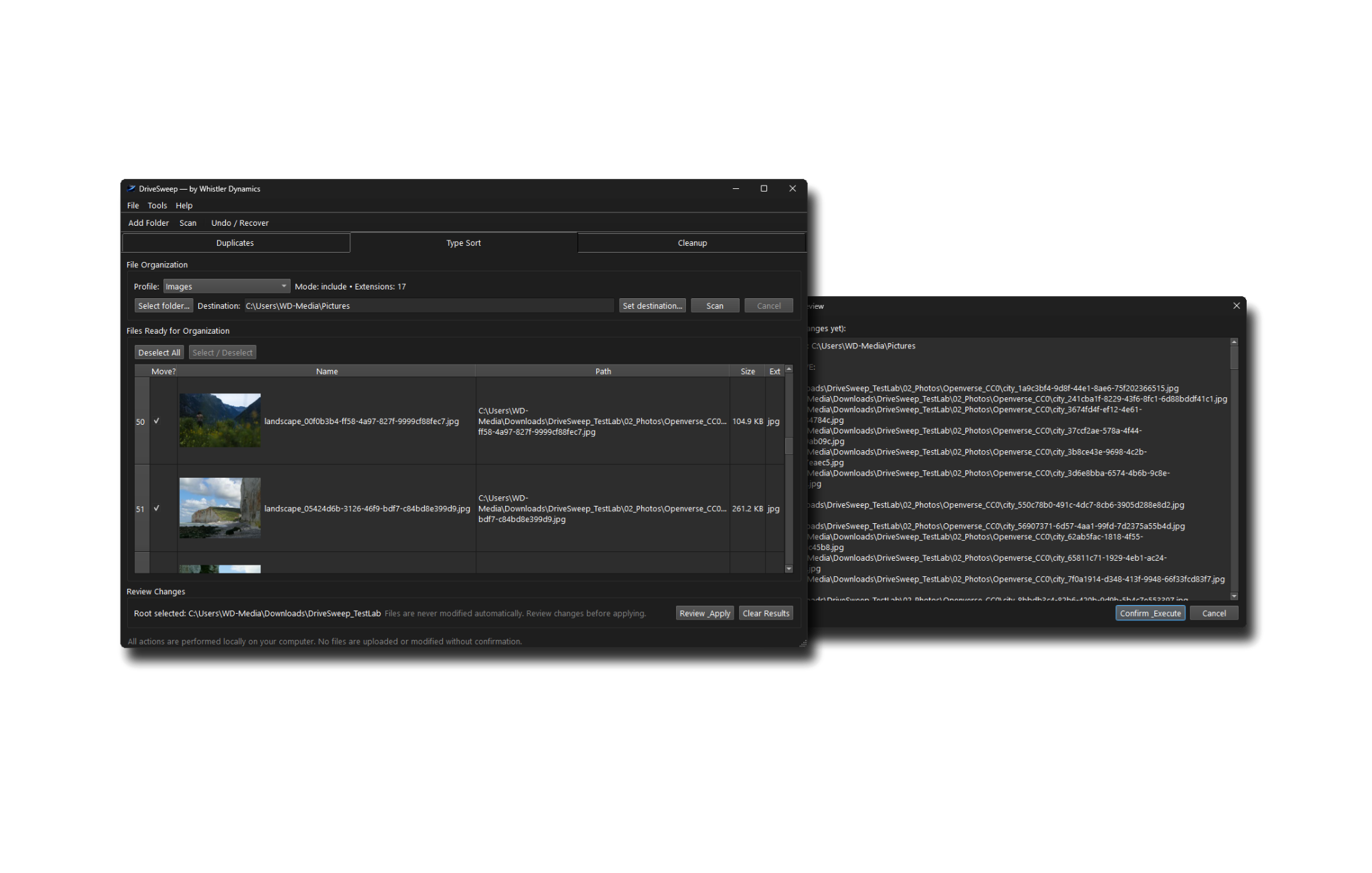 DriveSweep Type Sort preview